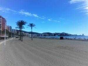 einen Sandstrand mit Palmen und dem Meer in der Unterkunft Renovated Apartment Steps Away from the Beach in Cullera