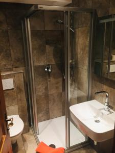 een badkamer met een douche en een wastafel bij Aparthaus Hubertus in Alpbach