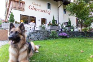 a dog sitting in the grass in front of a restaurant at Garni Glurnserhof in Glorenza
