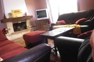 a living room with two couches and a fireplace at Gîte st Julien des collines in Le Grand Serre