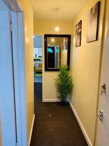 un pasillo con una maceta al lado de una puerta en Pine Lodge en Gillingham