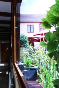 ein Fenster mit Blick auf einen Garten mit Pflanzen in der Unterkunft Auberge de la Vieille Ferme in Le Meux