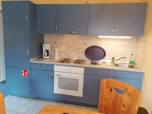 a kitchen with blue cabinets and a sink at Gasthof-Ferienwohnungen-Kliesow´s Reuse in Alt Reddevitz