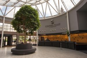 Un centre commercial avec un arbre au milieu dans l'établissement Crowne Plaza Liverpool City Centre, an IHG Hotel, à Liverpool
