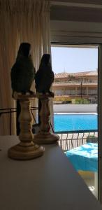 two birds sitting on a table in front of a window at PLAYA LAS VISTAS LOFT in Los Cristianos