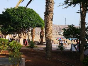 a group of people walking in a park with trees at PLAYA LAS VISTAS LOFT in Los Cristianos