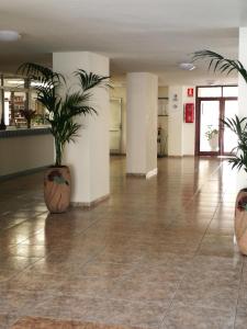a lobby with two potted plants in a building at PLAYA LAS VISTAS LOFT in Los Cristianos