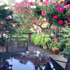 ein Spiegelbild eines Autos in einem Garten mit Blumen in der Unterkunft Brook Lodge Country Cottage in Doncaster