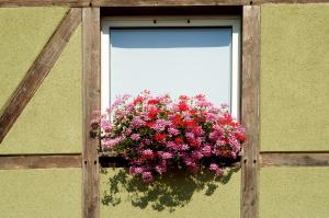 a window with a hanging basket of flowers at Als Hôtel in Ottmarsheim
