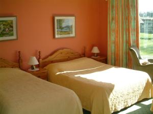 two beds in a bedroom with orange walls at Claremont House in Dun Laoghaire