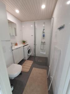 a bathroom with a toilet and a shower and a sink at Home Away Center Kuopio in Kuopio