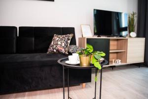 sala de estar con sofá negro y mesa con planta en EASY RENT Apartments - BUSINESS CENTER 41 en Lublin