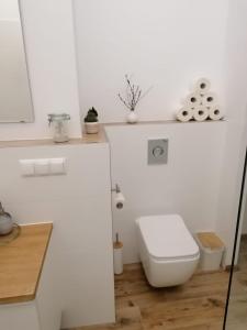 Kúpeľňa v ubytovaní Apartament KurOrt Gaja