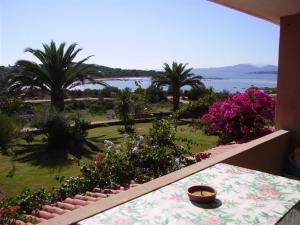 Paisagem natural perto do apart-hotel