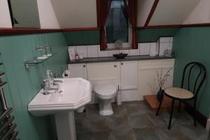 a bathroom with a sink and a toilet at Corunna Bed & Breakfast and Garden Cottage in Inverness