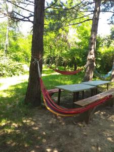 Κήπος έξω από το Lodging Vidmar