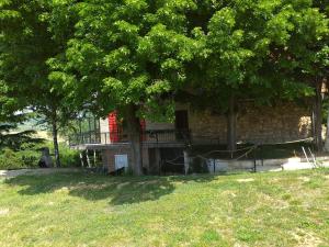 Κήπος έξω από το Lodging Vidmar