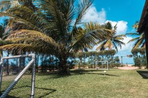 eine Palme und ein Fußballfeld in der Unterkunft Recanto da Boca in Tamandaré + 45 Fotos