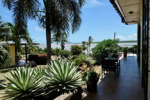Montjoly的住宿－Lodges Balourou，从植物繁茂的度假胜地的阳台可以欣赏到风景