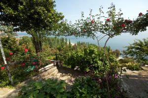 a garden with flowers and a view of the ocean at Pantheon in Agios Ioannis Pelio