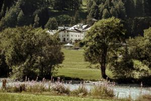 a house in the middle of a field with trees at Chesa Stuva Colani in Madulain