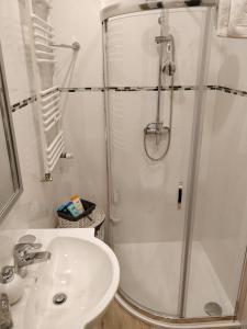 bagno con doccia e lavandino di Apartament Cukrownia a Stettino
