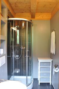 a bathroom with a shower with a glass shower stall at Chalet Edelweiss Breathtaking Glacier View in Les Diablerets