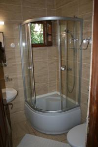 La salle de bains est pourvue d'une douche, de toilettes et d'un lavabo. dans l'établissement Albinuta Guesthouse, à Ozun