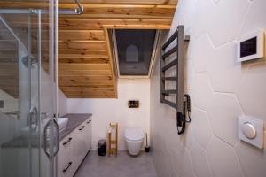 a small bathroom with a toilet and a staircase at Apartamenty Eksploris in Kudowa-Zdrój