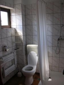 a white bathroom with a toilet and a shower at PENSIUNEA MURY in Braşov