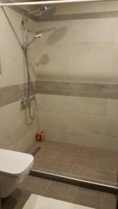 ein Bad mit einer Dusche und einem WC in der Unterkunft Business Wohnung zur Kurzzeitmiete für Geschäftsreisende in Karlsruhe