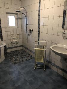 La salle de bains est pourvue d'une douche et d'un lavabo. dans l'établissement Ferienwohnung Wiesental, à Meisburg