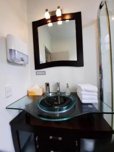 Fotografie z fotogalerie ubytování The Waiheke Lodge v destinaci Onetangi