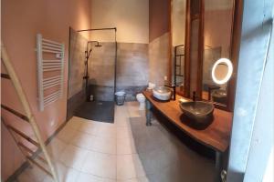 Un baño con lavabo, espejo y ducha. en Loft atelier dans ancien domaine viticole, en Moux