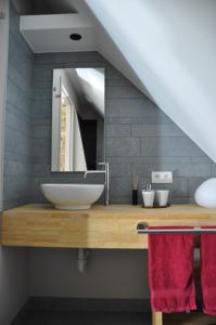 a bathroom with a sink and a mirror at B&B Bella en Basiel in Bruges +26 photos