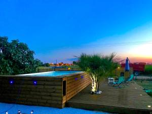 a swimming pool with a palm tree on a wooden deck at Chez Felicie in Saint-Jory