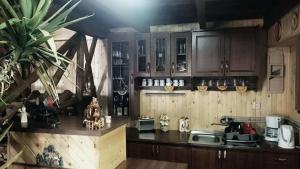 een keuken met houten kasten en een aanrecht bij Vidiecky dom in Stará Bašta