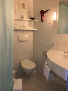 a white bathroom with a toilet and a sink at Bernina Bed and Breakfast in Davos