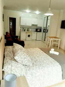 a bedroom with a large bed and a kitchen at Central Estudio Málaga in Málaga