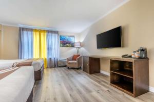 Quality Inn and Suites tesisinde bir oda