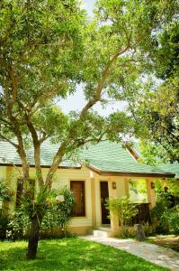 una casa amarilla con un árbol en el patio en The Green Beach Resort en Sam Roi Yot