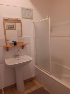 ein Bad mit einem Waschbecken und einer Dusche in der Unterkunft Manoir de la Peignie in Merdrignac