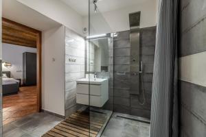 Koupelna v ubytování Apartment Baron