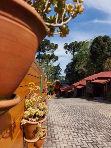 a group of potted plants on a brick road at Chalés Araucárias da Serra in Canela