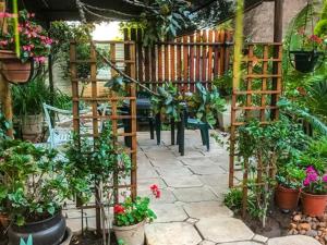 a garden with potted plants and a wooden pergola at 21Benade in Bloemfontein