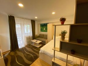 a room with a bed and a couch and a window at Chic MiniSuite Mirage Sinaia in Sinaia