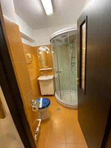 a bathroom with a toilet and a glass shower at Chic MiniSuite Mirage Sinaia in Sinaia