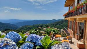 a view from a balcony of a house with blue flowers at Amelia Dream View Hotel in Momigno