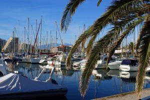 um grupo de barcos ancorados numa marina com palmeiras em Voilier à quai au calme em Canet-en-Roussillon