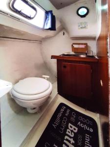 a small bathroom with a toilet and a sink at Voilier à quai au calme in Canet-en-Roussillon